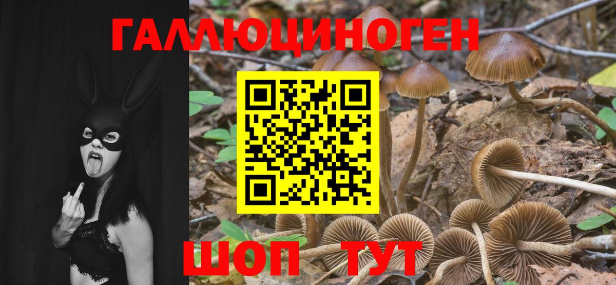 Галлюциногенные грибы Cubensis Чайковский