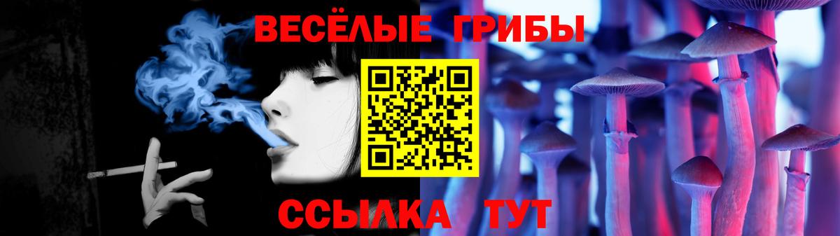 Чайковский  Галлюциногенные грибы мухоморы  Вход с VPN 