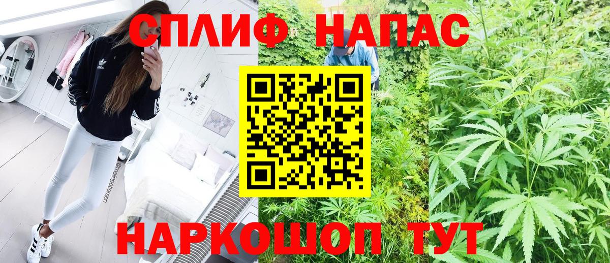 Бошки марихуана семена Чайковский